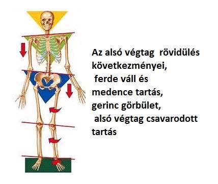 elmozdulás